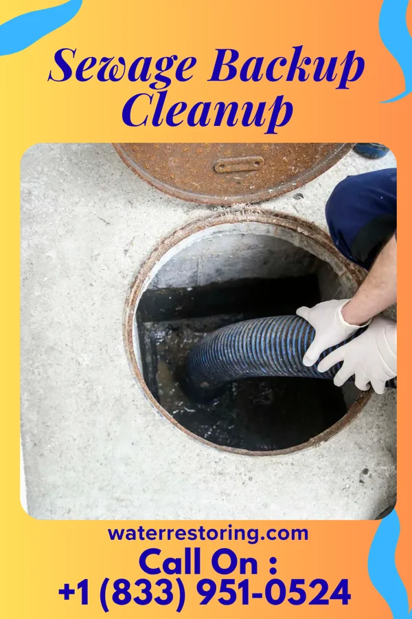 Sewage Backup Cleanup in Keystone, FL